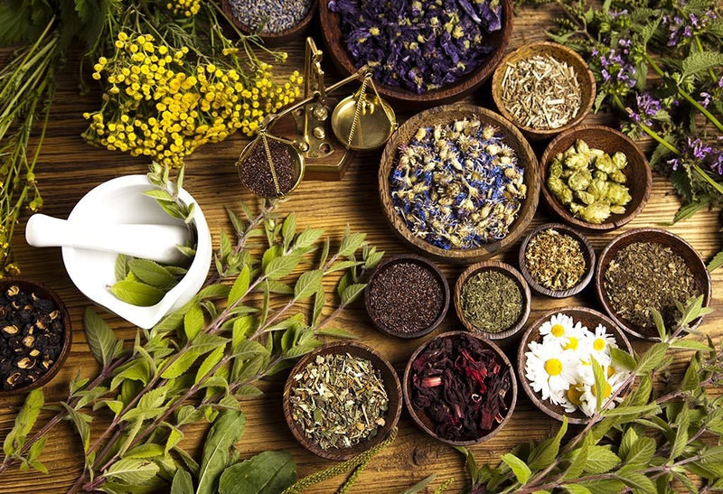 12 Powerful Ayurvedic Herbs and Spices with Health Benefits - RedSky Medical