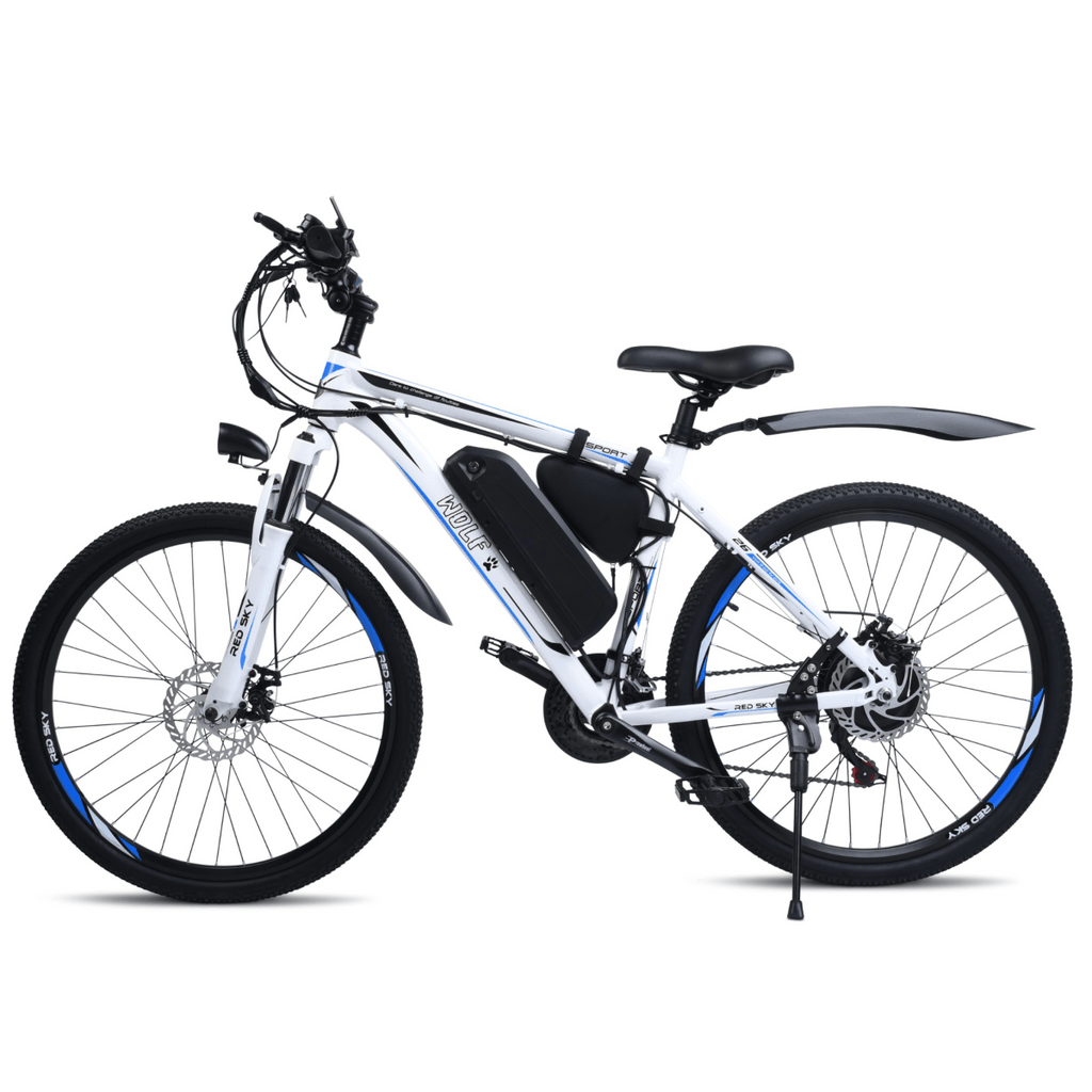 Sky e bike technology inc 2025