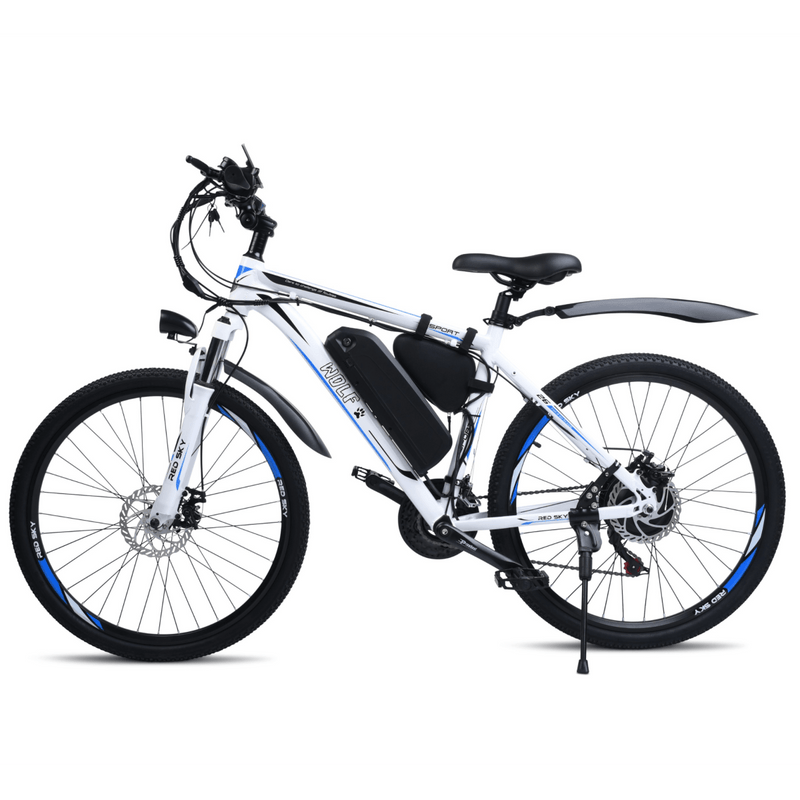 Redsky Electric Bike - RedSky Medical