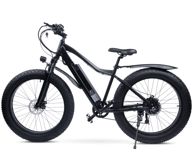 Redsky Fat Bike - RedSky Medical